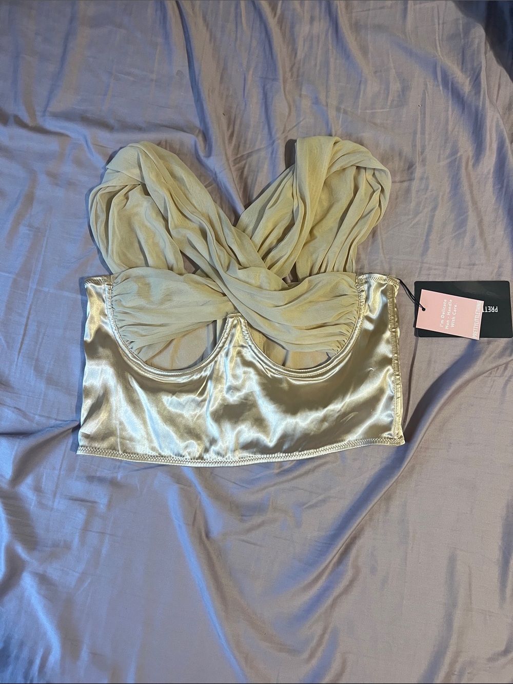 Nasty Gal Satin Bustier Crop Top in Pale Gold